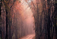 HTH Sports-快船式防守锁死广厦，小贾伦·杰克逊化身关键先生定乾坤