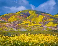 巴伦西亚遭遇失败，寻找改善之道